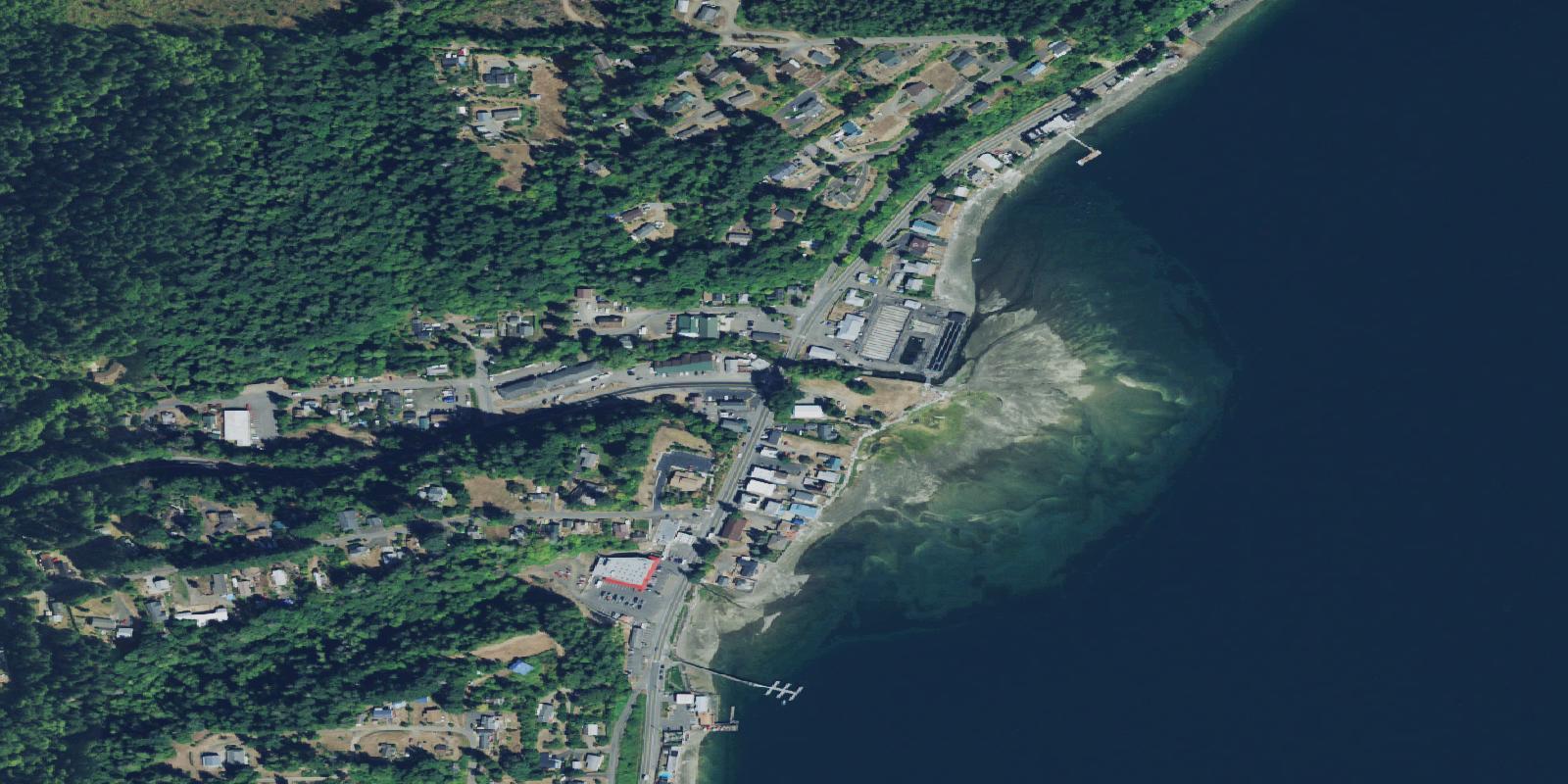 Satellite view of Lake Cushman