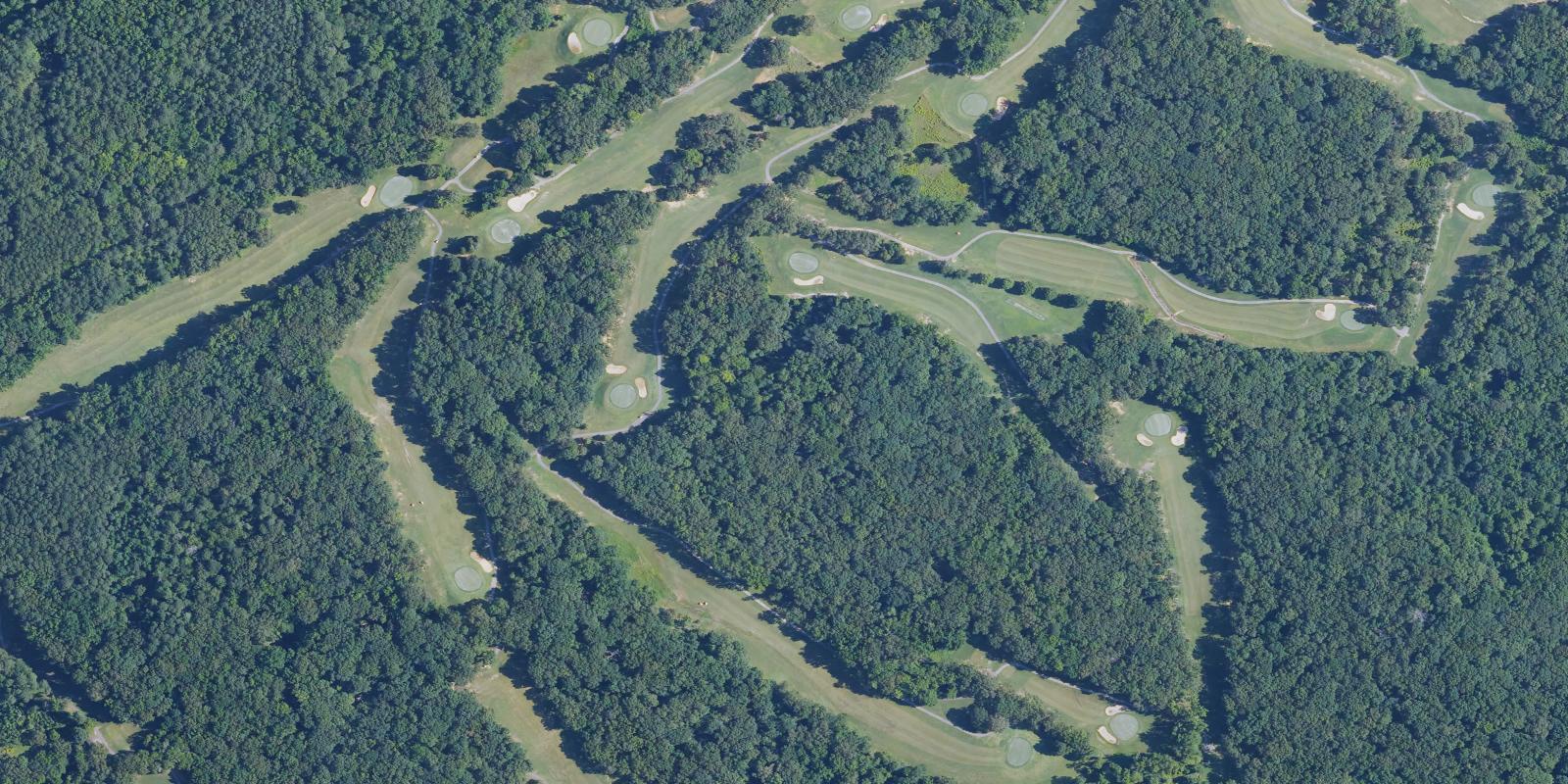 Satellite view of Paris Landing State Park Golf Course